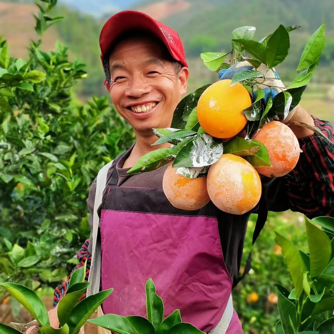 正宗江西赣南脐橙当季新鲜水果水嫩多汁维C水果