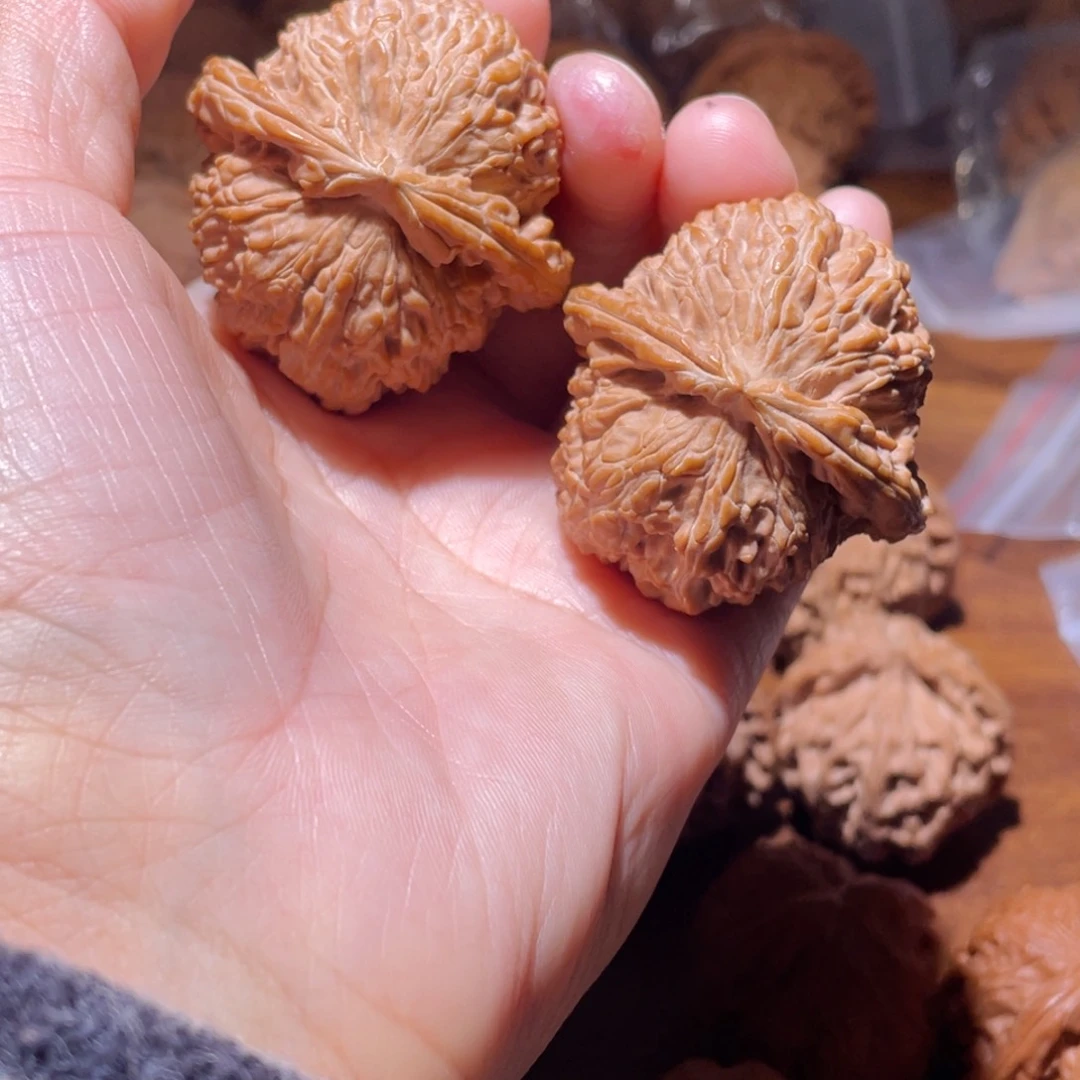 吊坠桃核老**師41尺白狮子