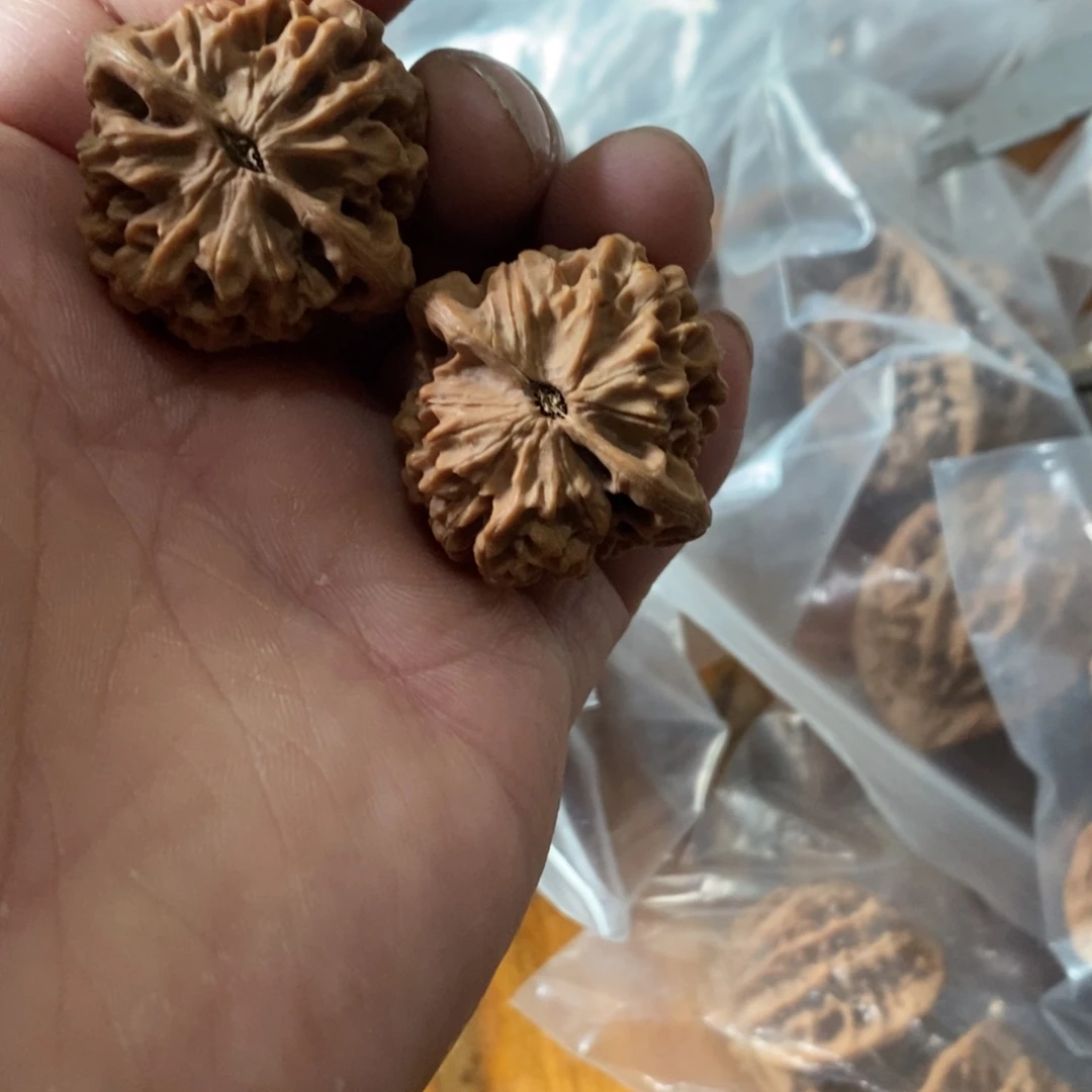 秦岭南侧和东北北部部分