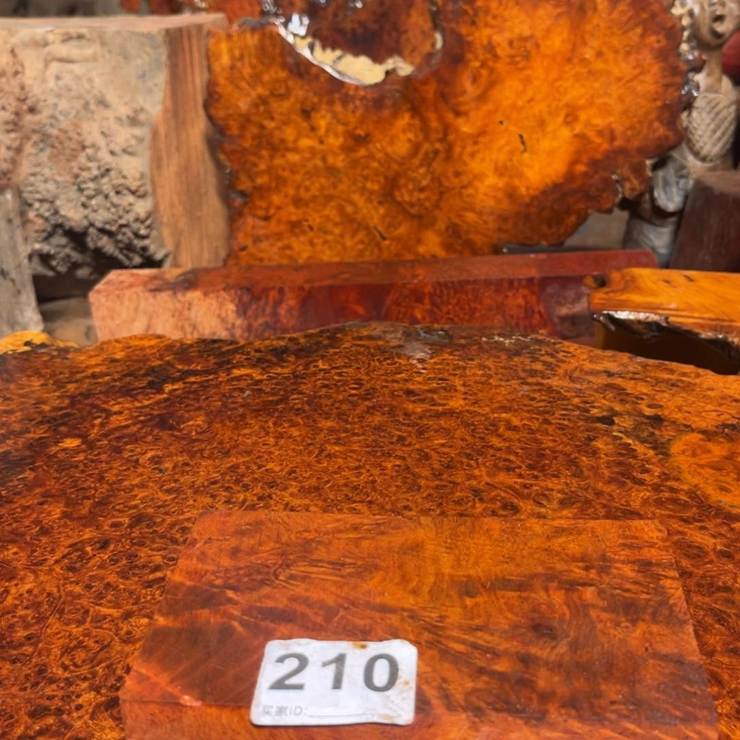 大果紫檀（缅甸花梨）