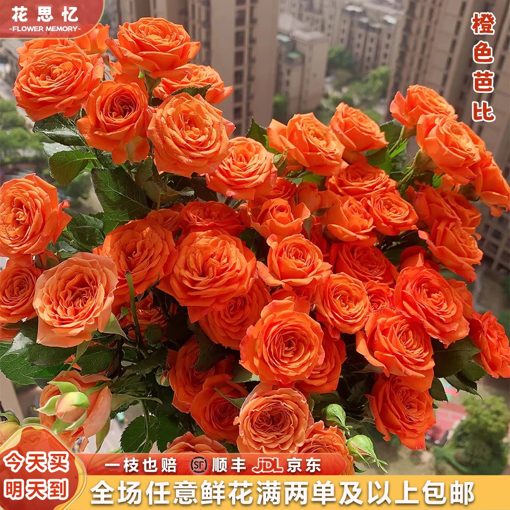 特价『次日达·橙芭比5枝』夏日甜橙 多头玫瑰 全场任意满两单鲜花顺丰京东包邮 三单鲜花送玻璃花瓶鲜花