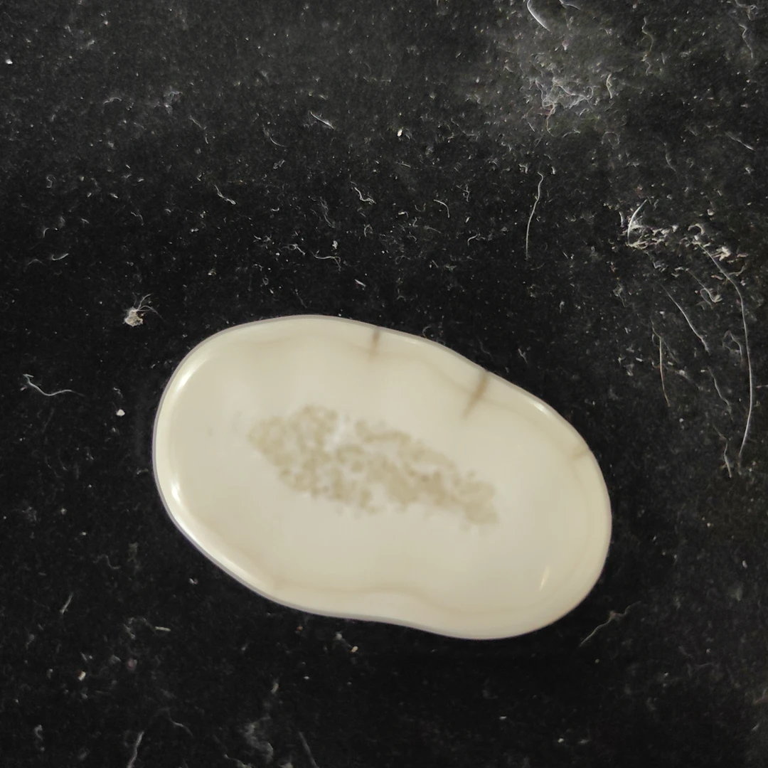 猛犸猛犸虬饼子WW87