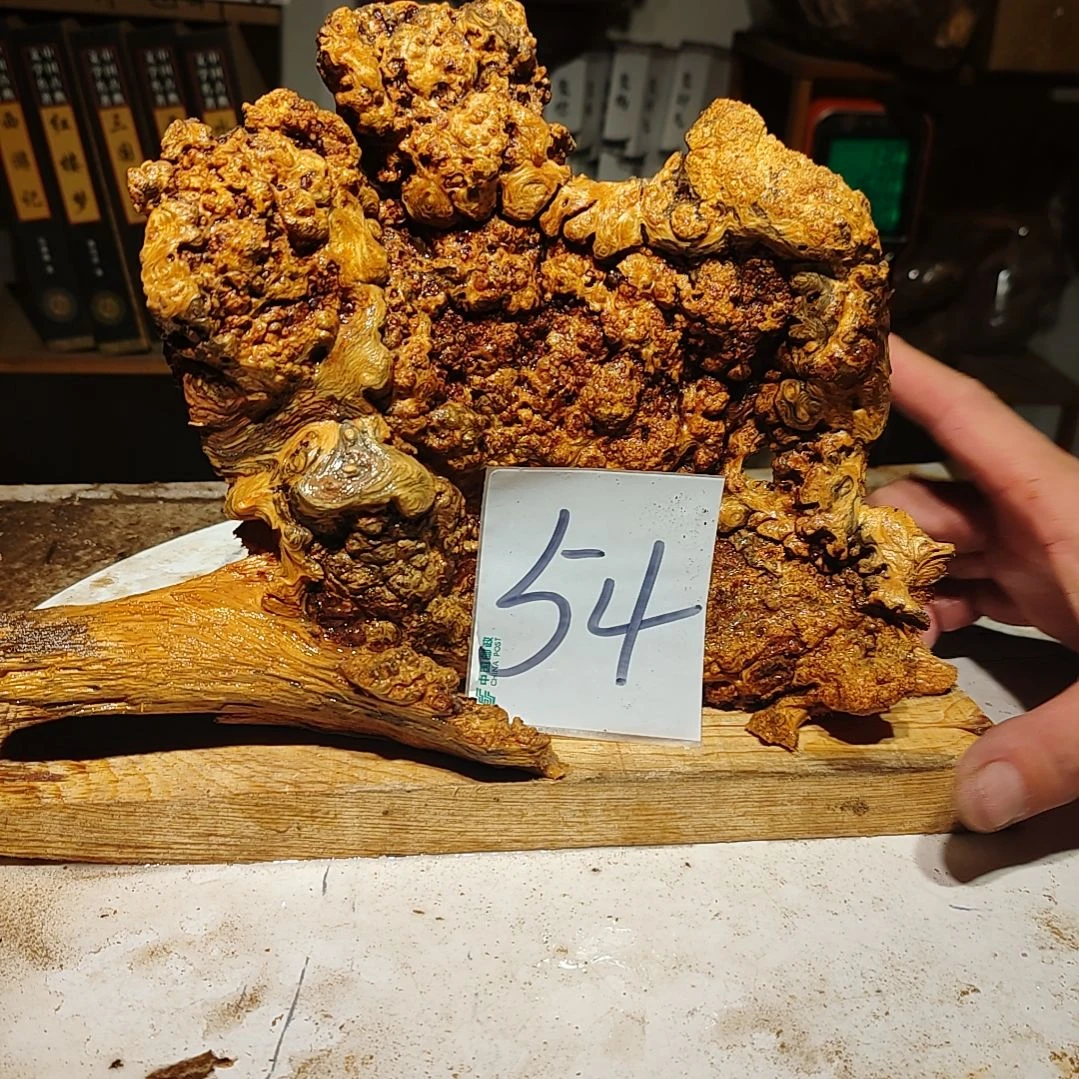 松木?54号北沉香琥珀木天然造型