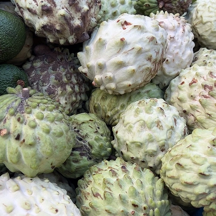 中国大陆释迦果5斤