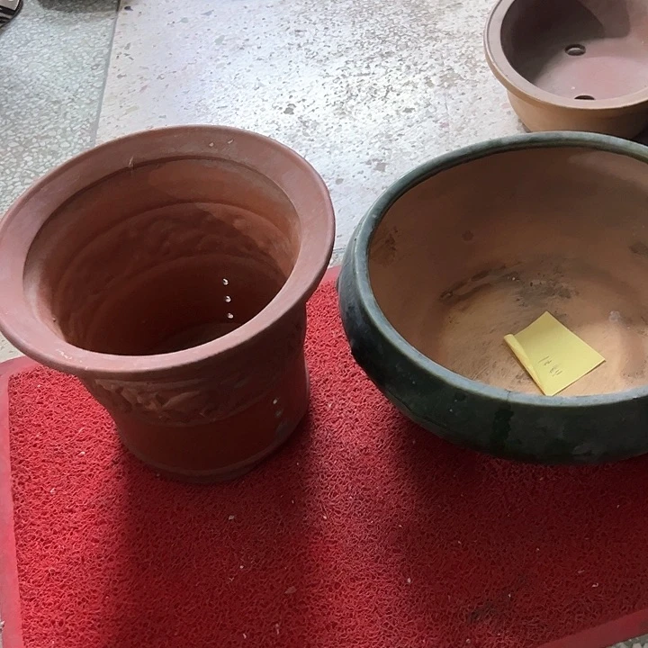 红陶E****兔。。。。。。。。。。。