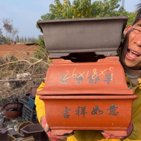 花盆紫砂特价包邮送