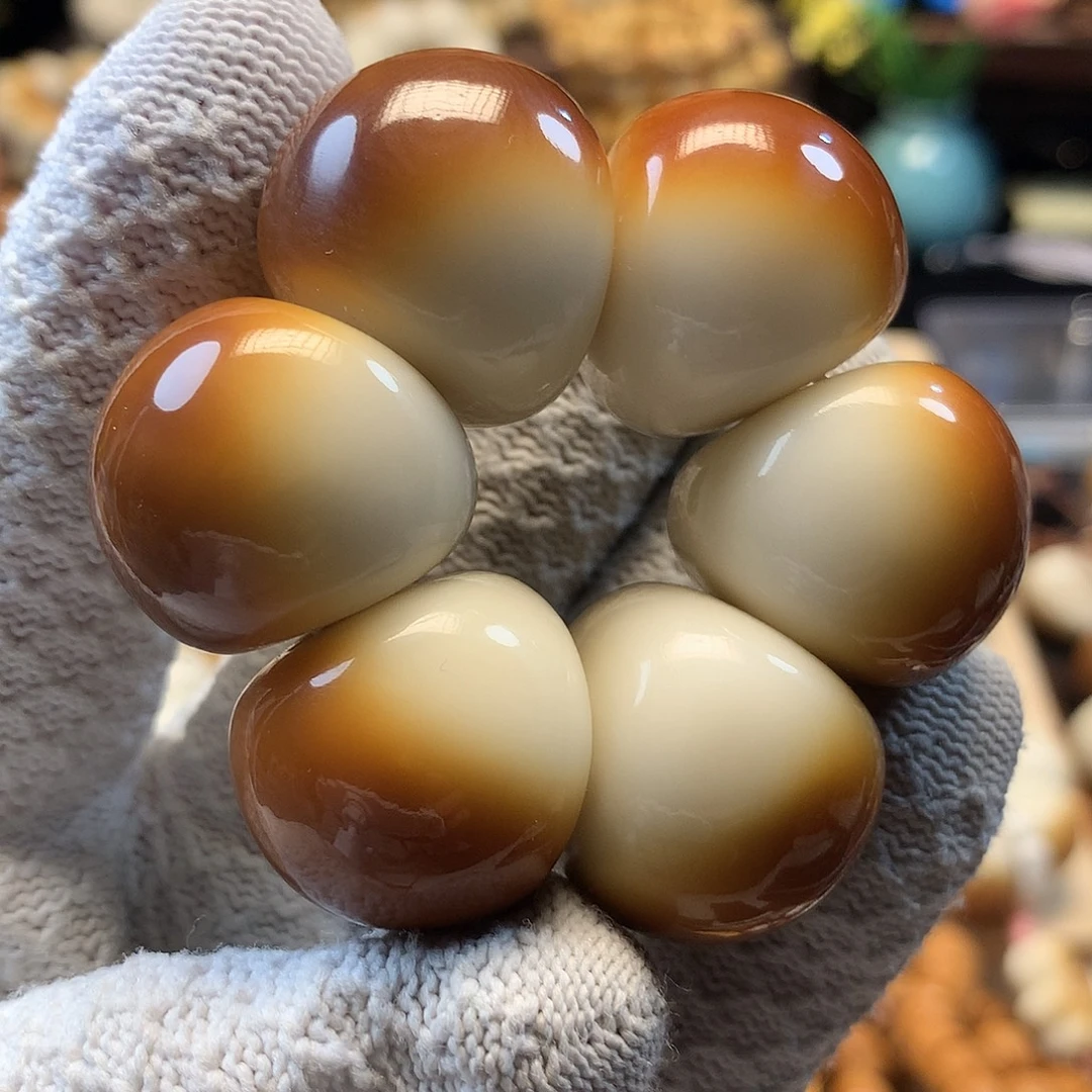 吊坠菩提根/象牙果象牙果焦糖山竹