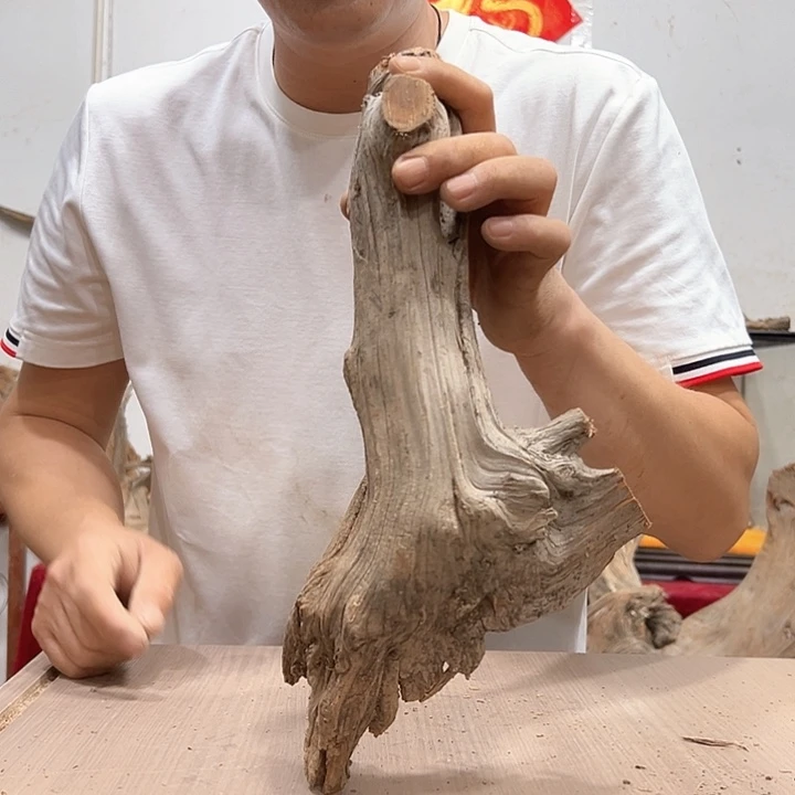 柏木多**亿我们都是好孩子呀我也