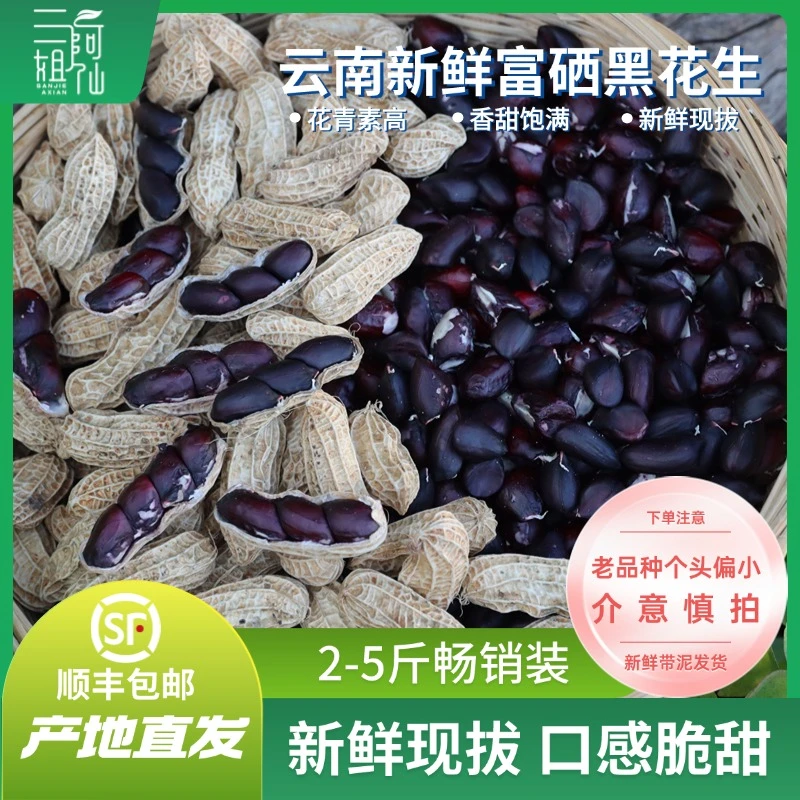 云南新鲜现拔老品种富硒黑花生湿花生2-5斤口感香甜顺丰包邮