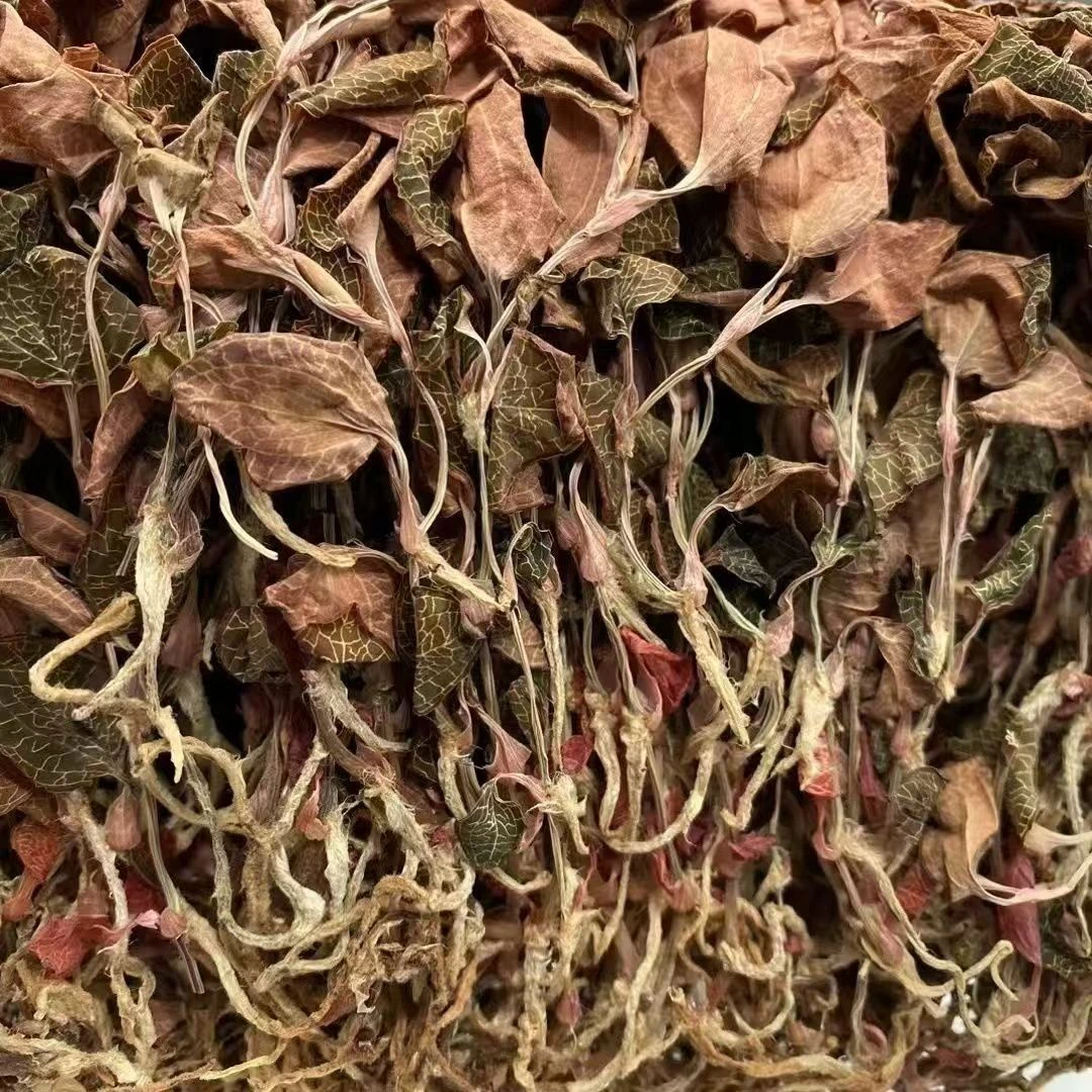 【阿峰推荐】金线莲根整株50g