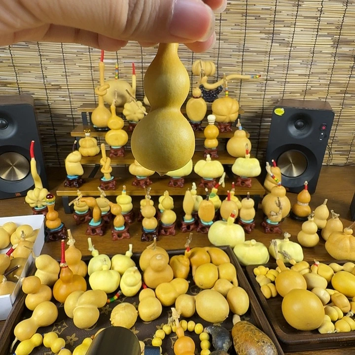 小***生葫芦哈哈哈哈哈哈哈哈