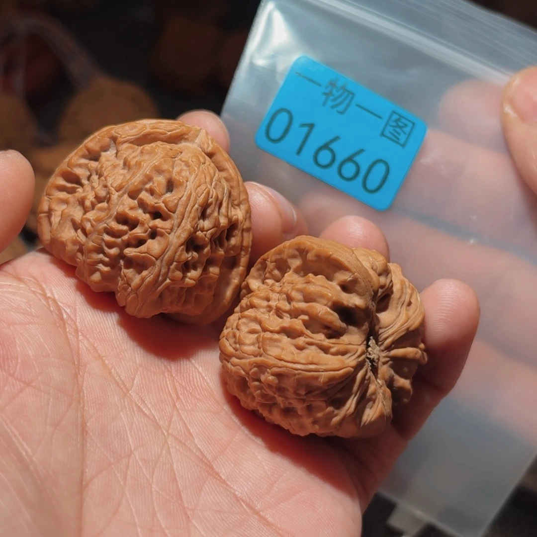 把件文玩核桃白狮子