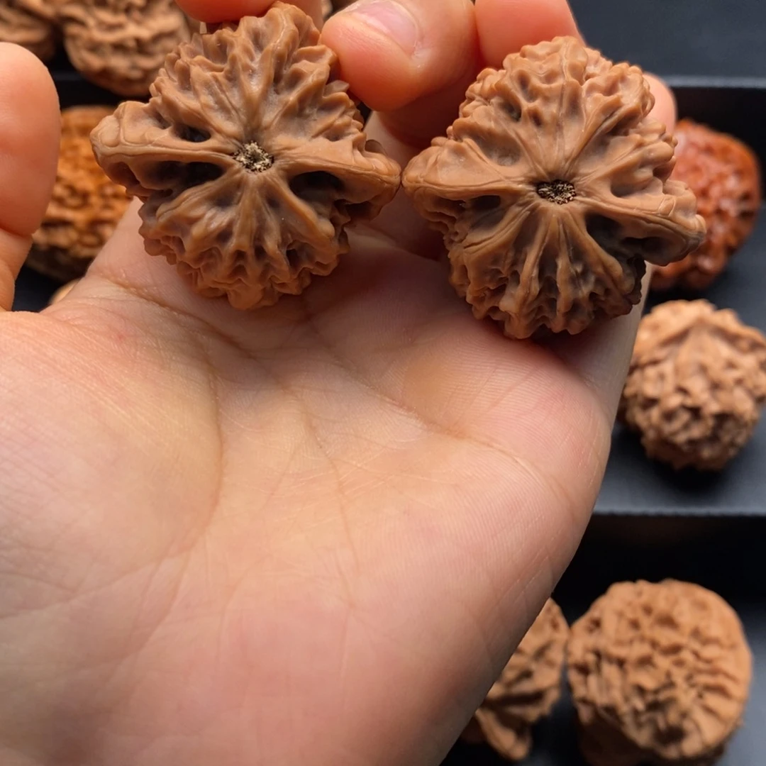 文玩核桃把件茶****)秦岭文玩核桃