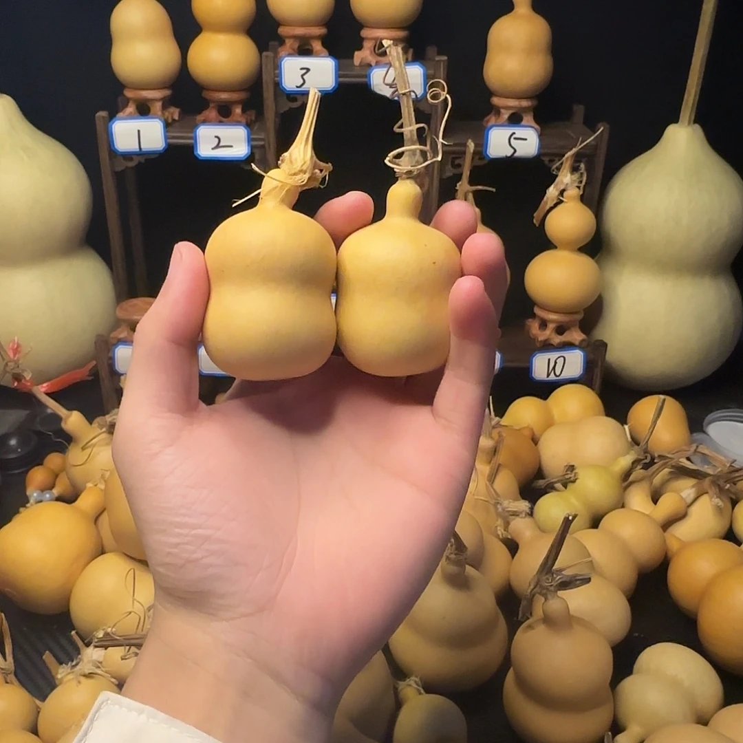葫芦葫芦的小可爱们都
