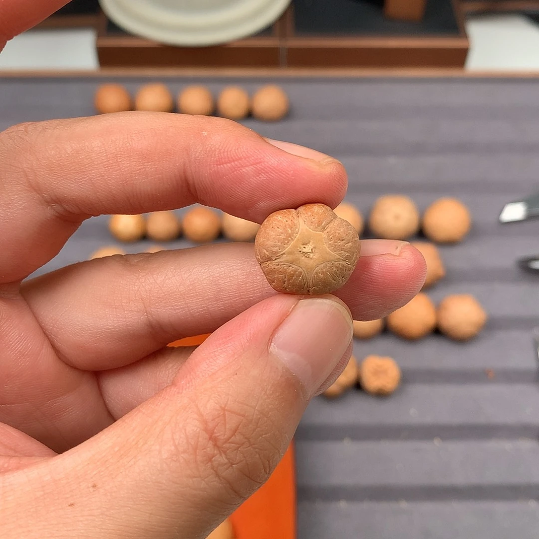 手串凤眼菩提17+五星，非质量问题开孔不退