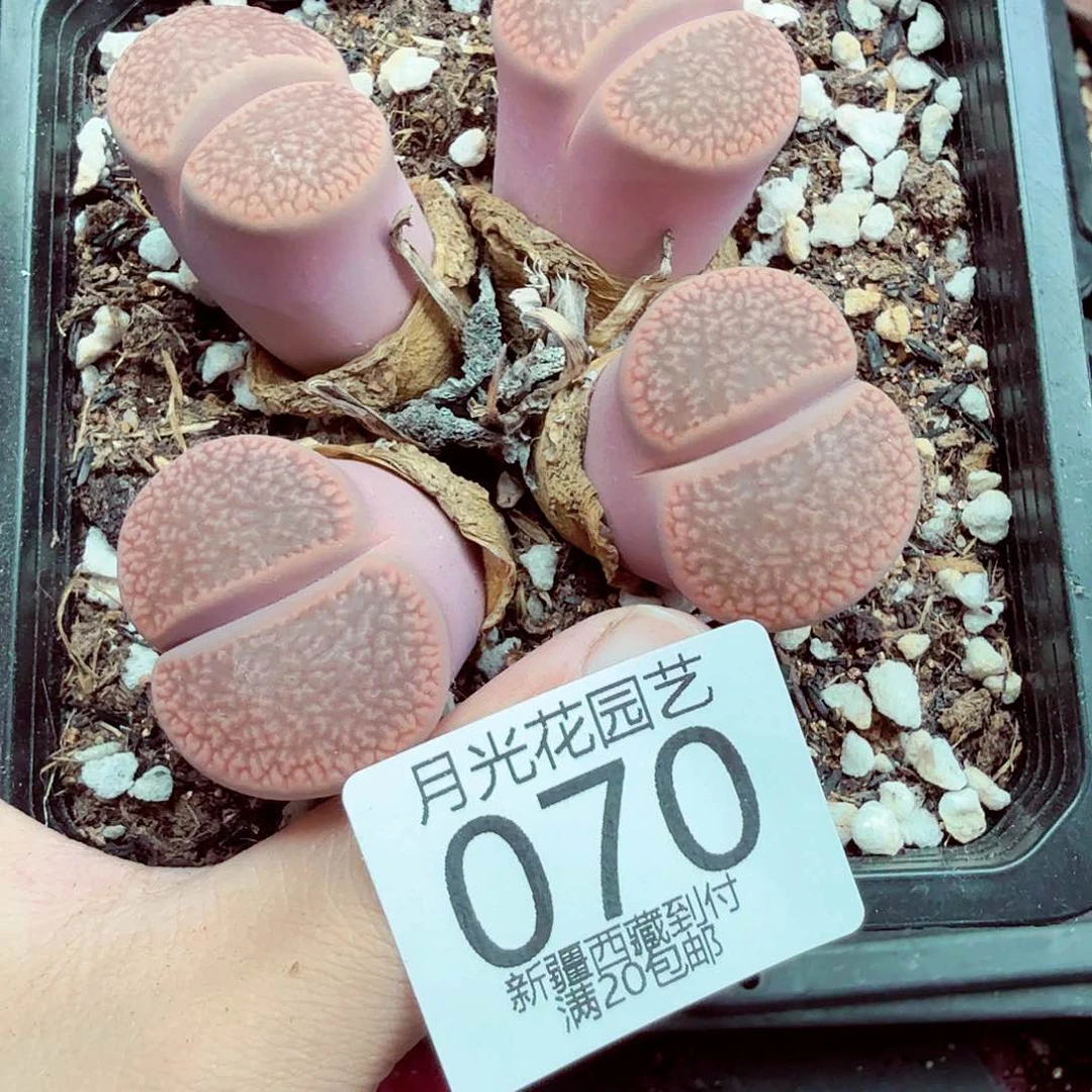 这个点睡起来了好开心070你