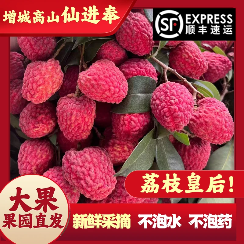 【顺丰冷链】优质广东增城仙进奉荔枝皇后新鲜现摘不泡水不泡药大果