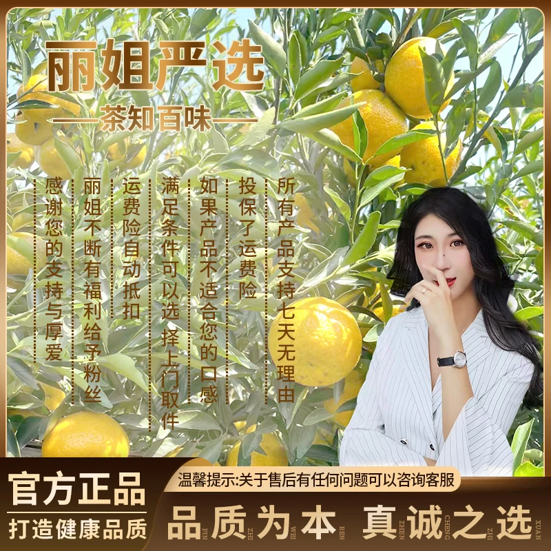 2025『蟠龙金桔』新会古井250g/500g