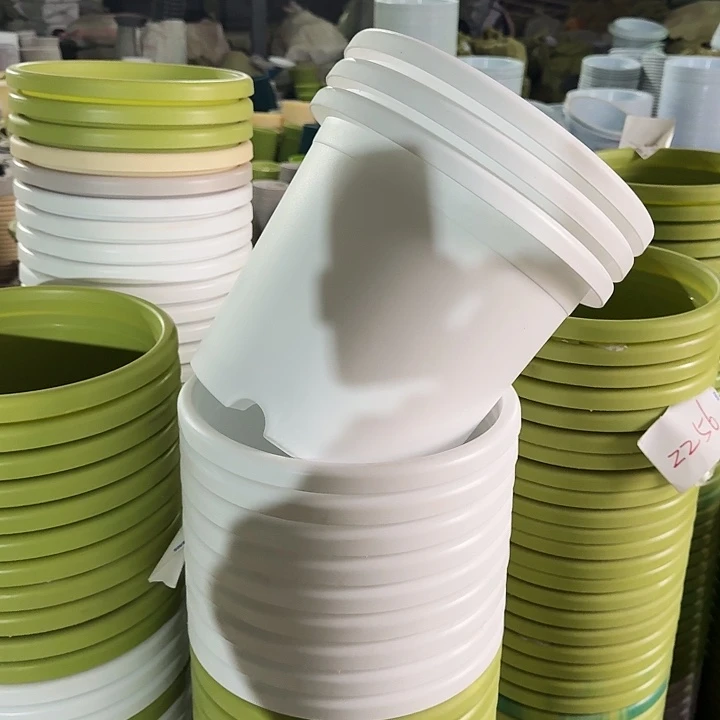 四季5#口径29白色10个无托