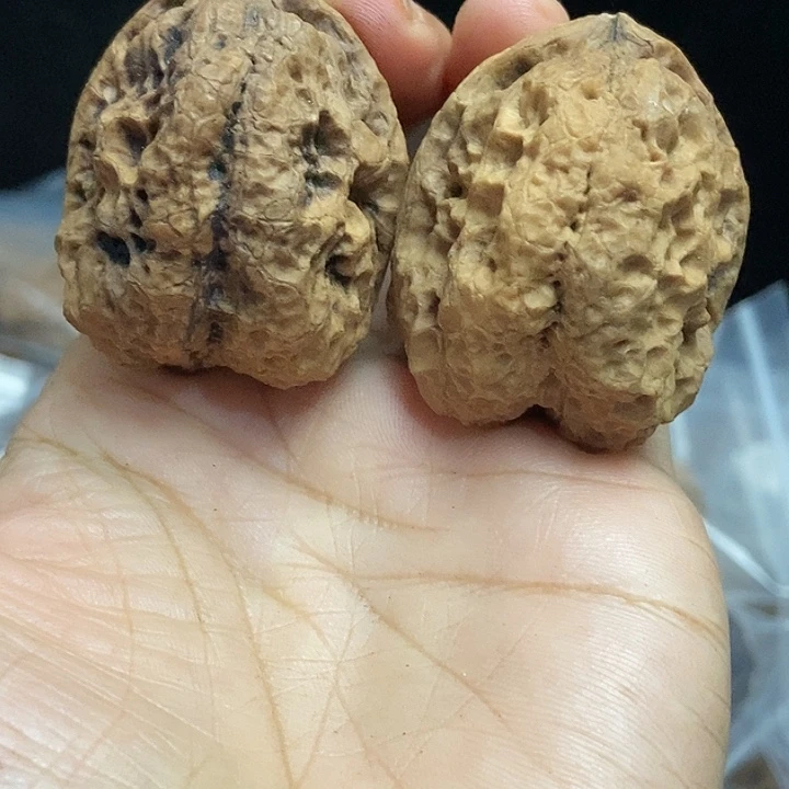 文玩核桃把件云南铁核桃基地79