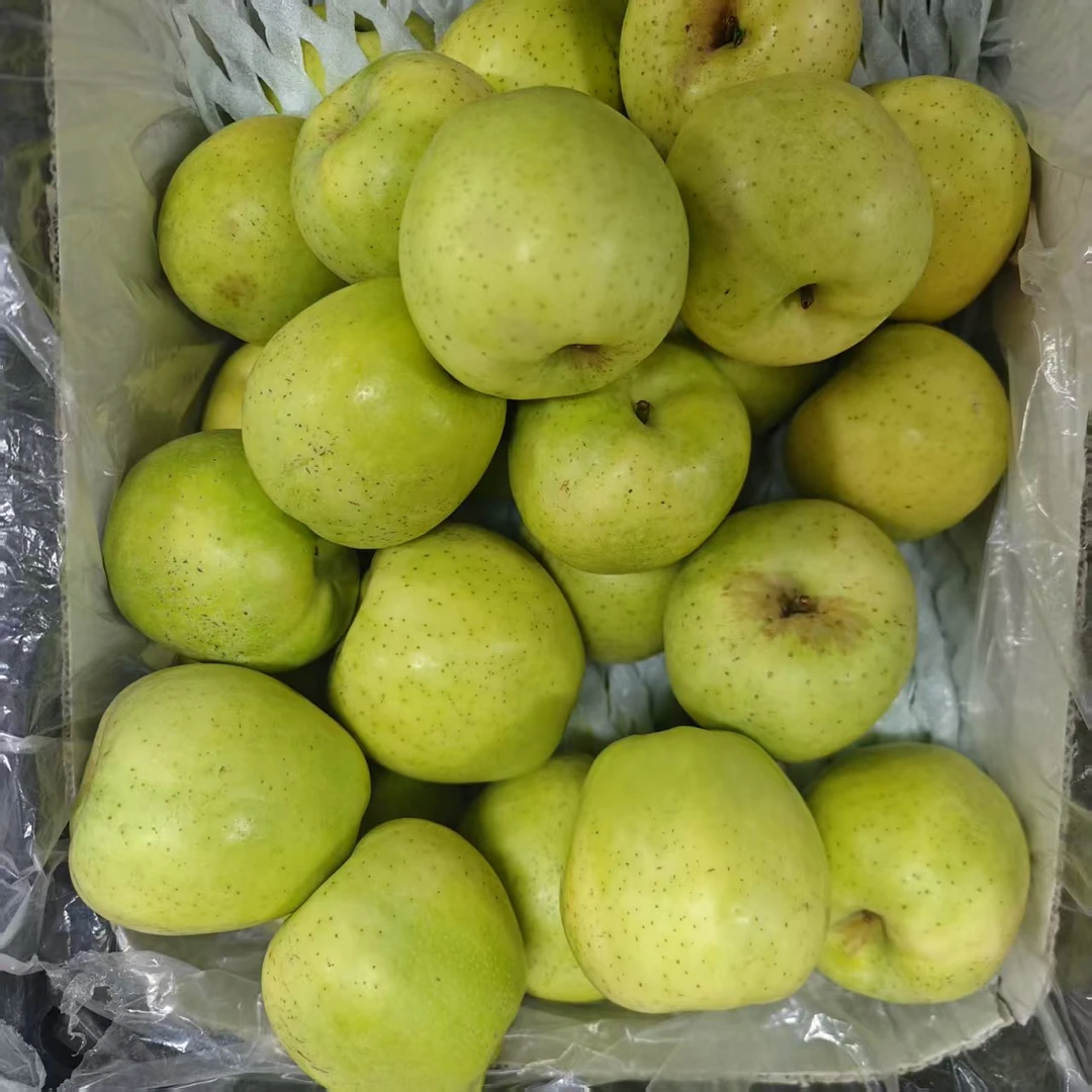 【散装】新疆王林苹果 4斤（二级果，个别有伤介意勿拍）