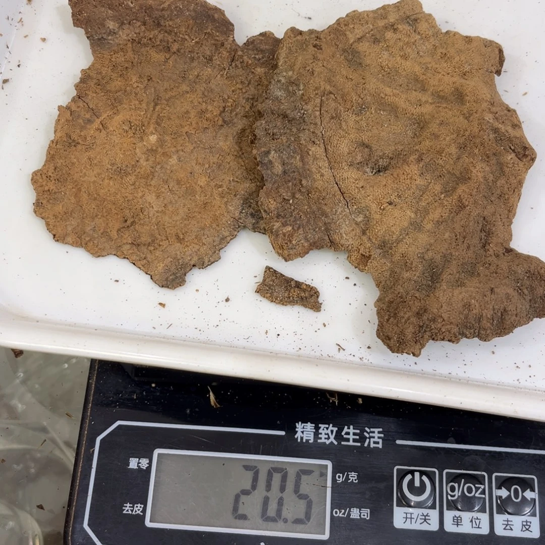 @***生沉香沉香枕沉香老顶20