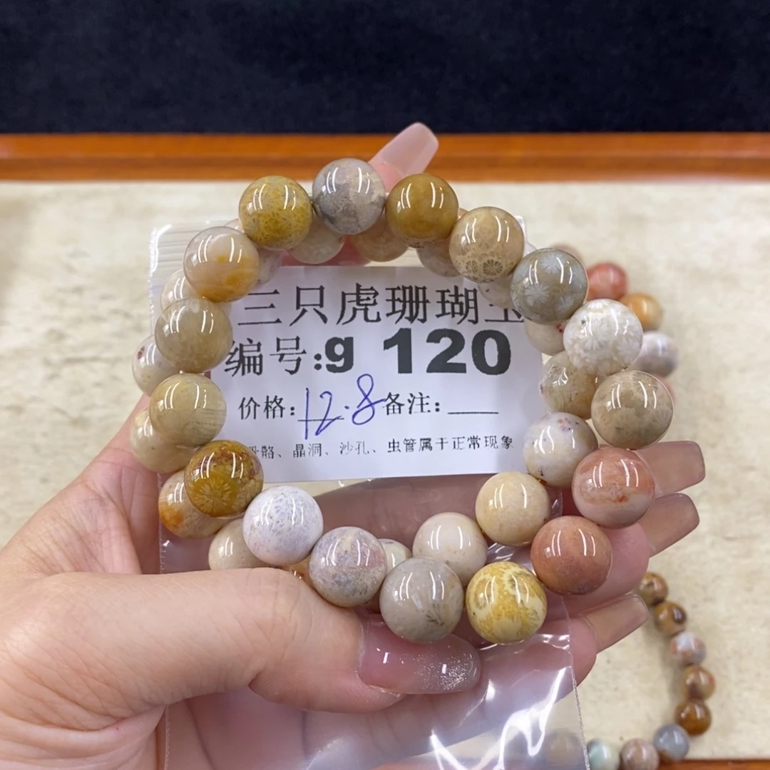 硅化珊瑚（珊瑚玉）未镶嵌1?****