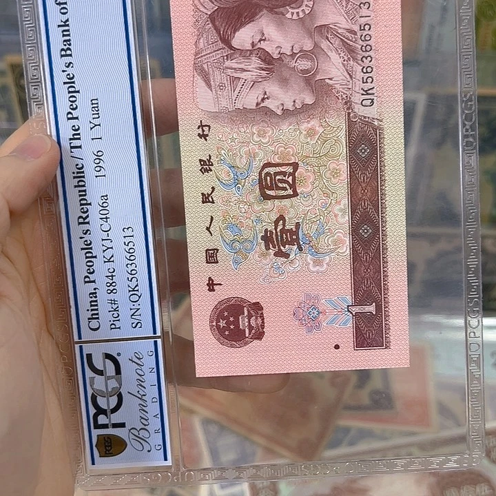 宇*25名319167啊阿啊央10