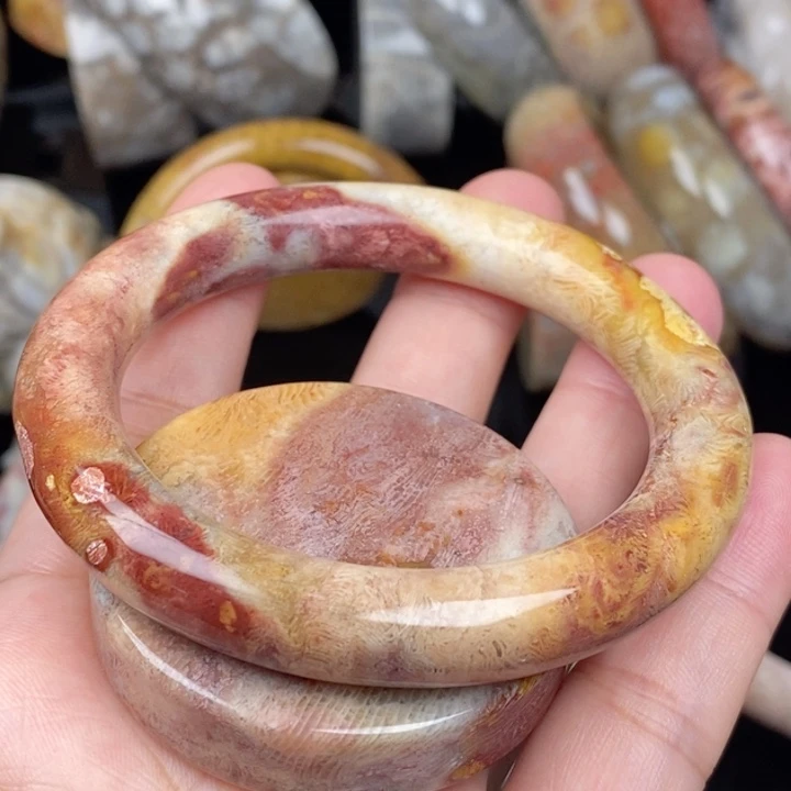 硅化玉未镶嵌颈饰54