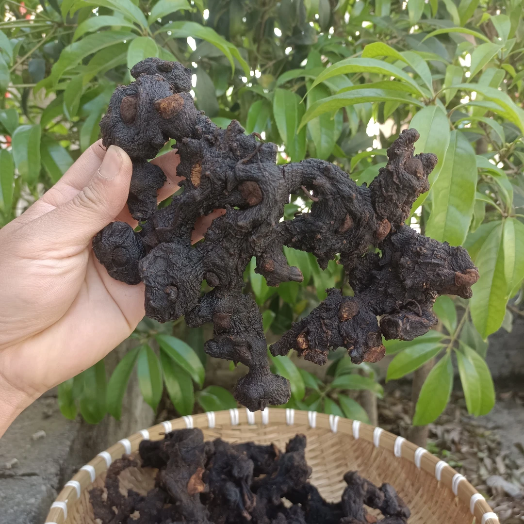 九蒸九晒黄姜 正宗山野古法工艺可搭配黄芪煮水