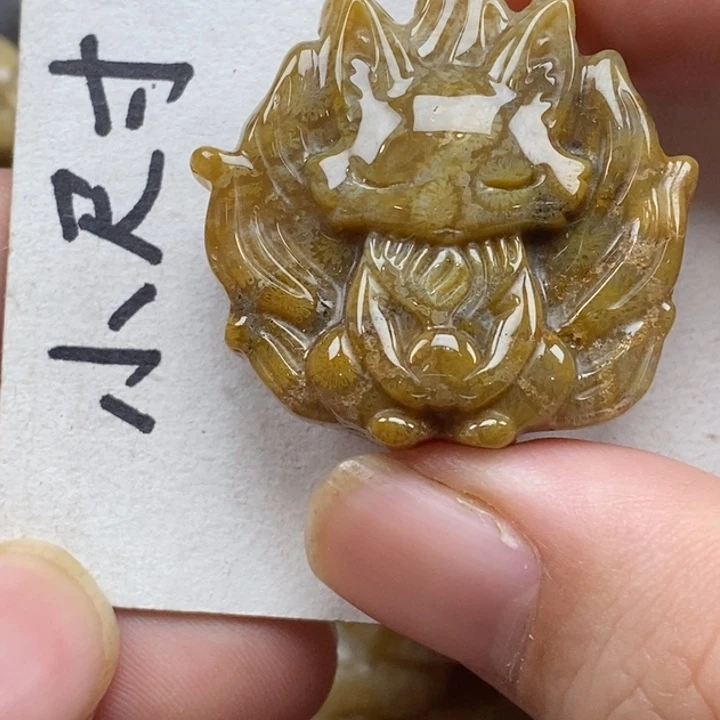 硅化珊瑚（珊瑚玉）未镶嵌颈饰