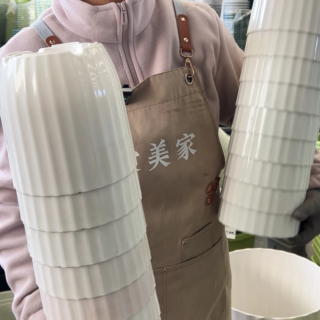 瑕疵竖纹1#白色10个无托