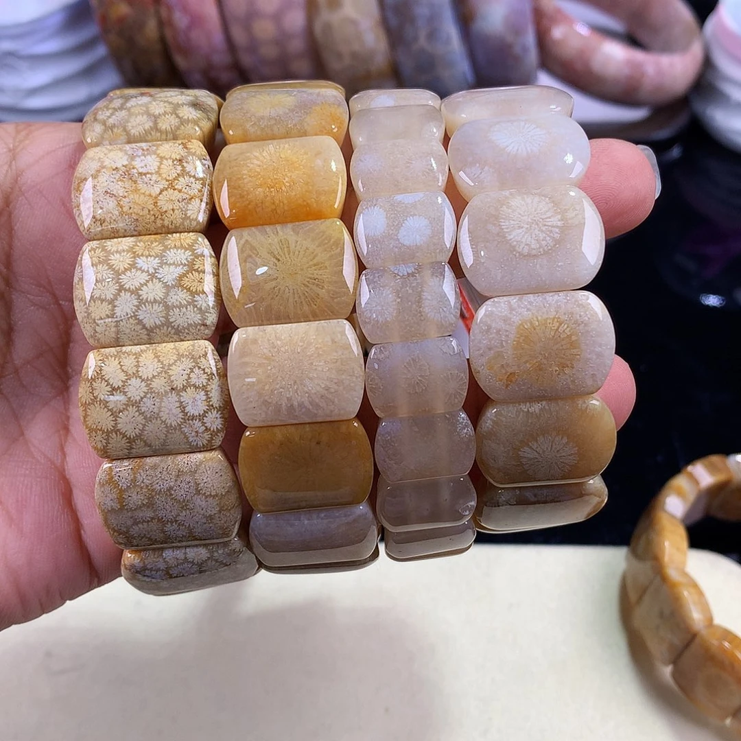 硅化珊瑚（珊瑚玉）未镶嵌吊坠(赠链)（17号）手排200米一条可挑