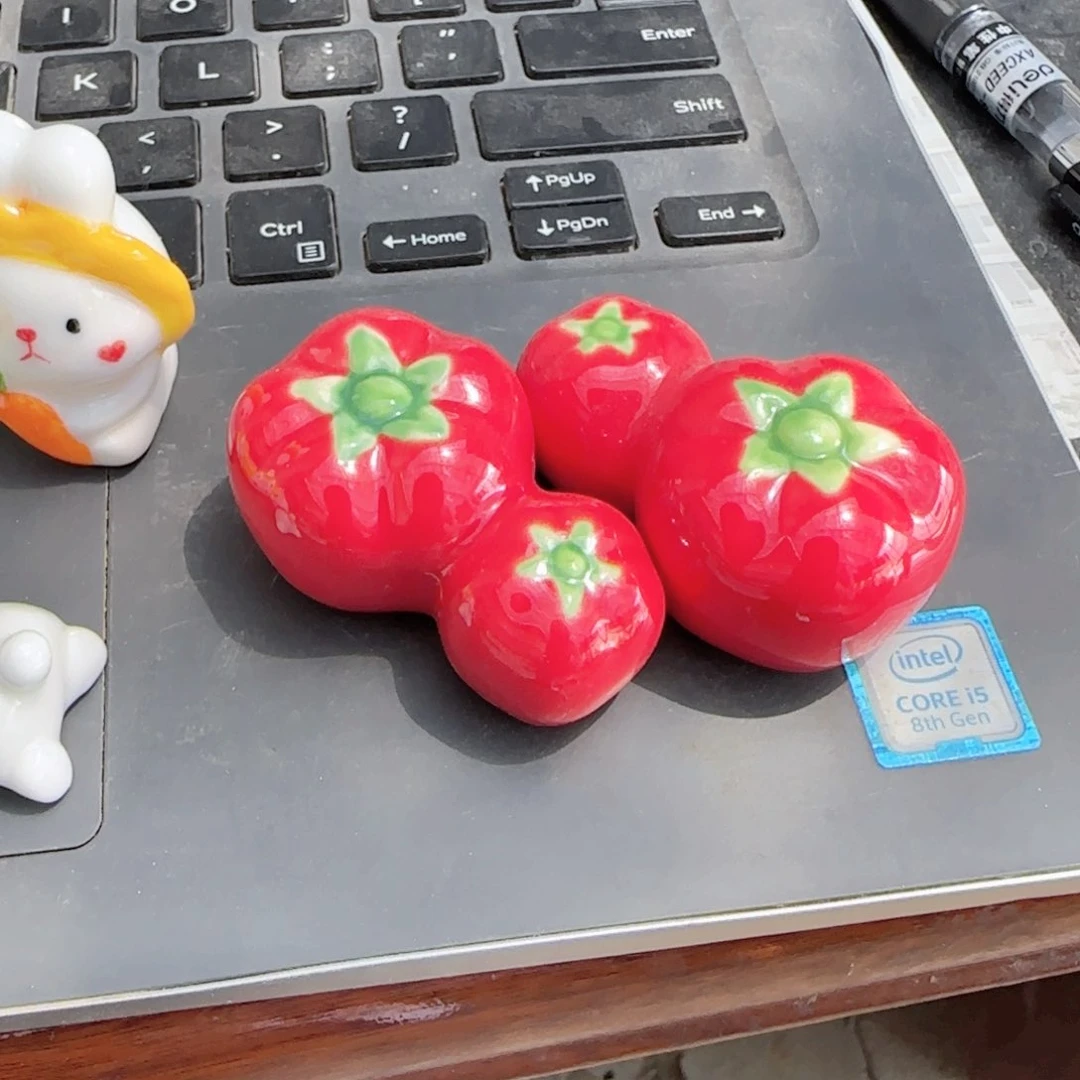 孤*两个柿子小摆件多肉