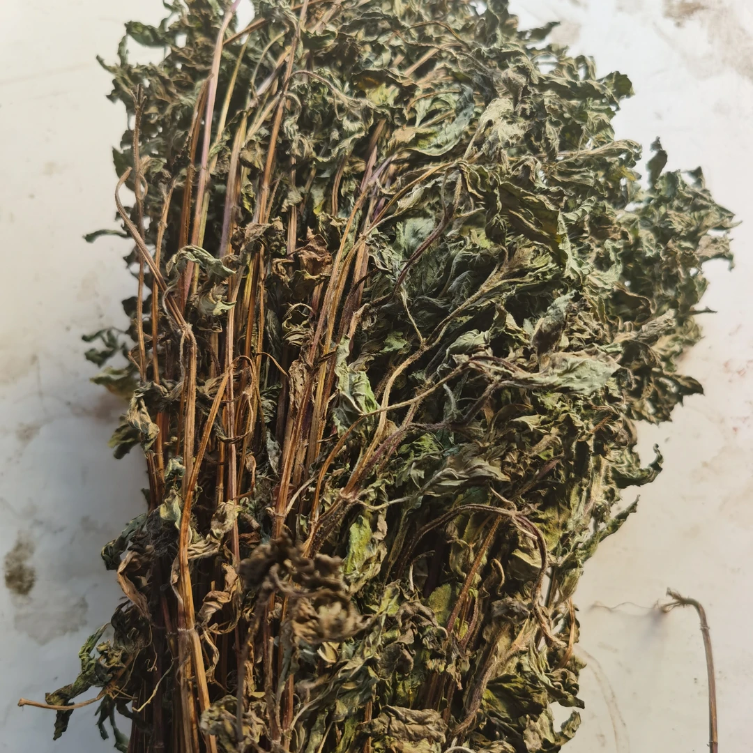 【薄荷】秦岭野生薄荷无硫熏当季薄荷干货