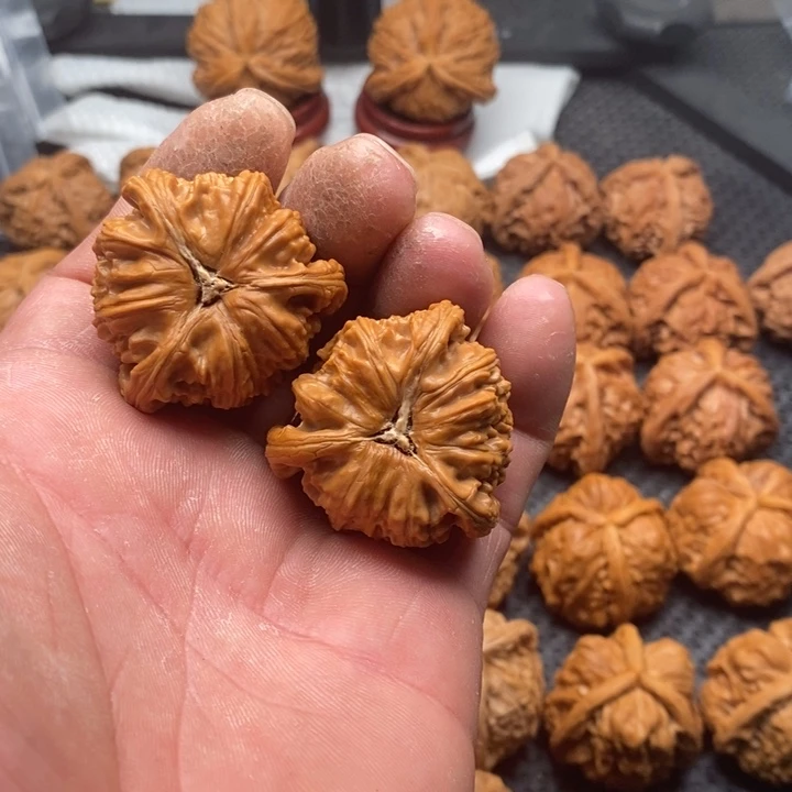 核桃把件壹**酒拼接白狮子4