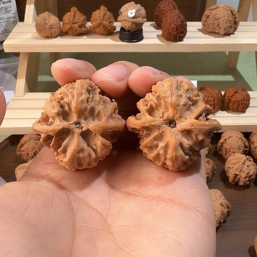 核桃苹果园正桩38尺寸