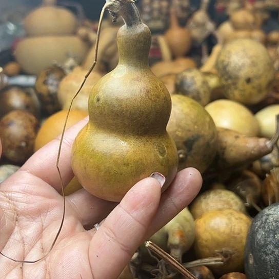 顺**为葫芦葫芦葫芦葫芦