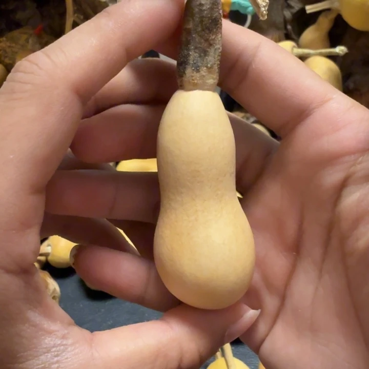 涛***J6…………………………………………