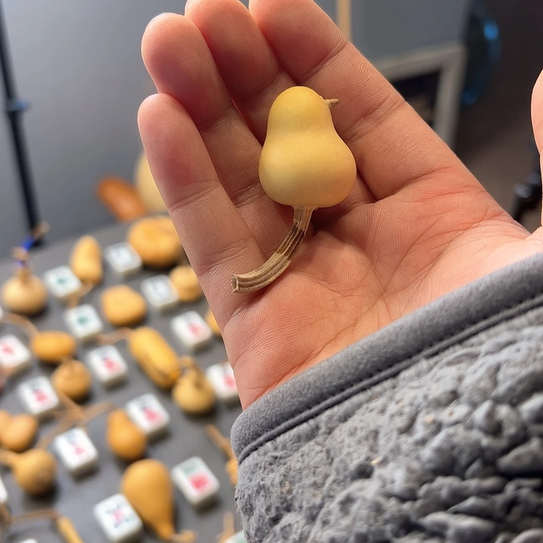 天*儿葫芦娃的时候我也是