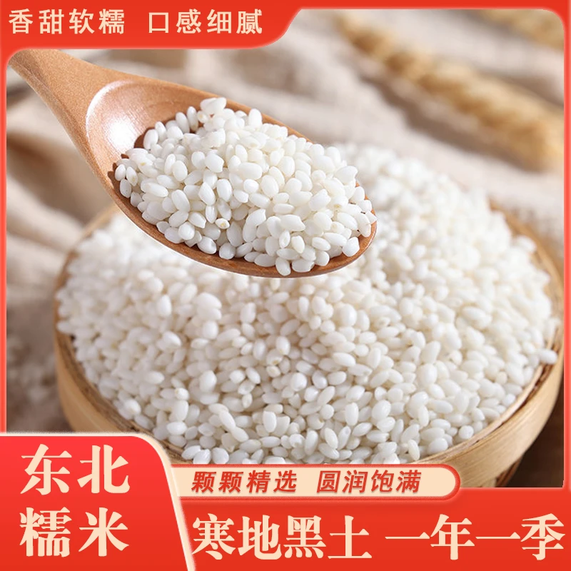 【净重5斤】东北圆糯米当季新糯米端午传统包粽子精选饱满香甜江米