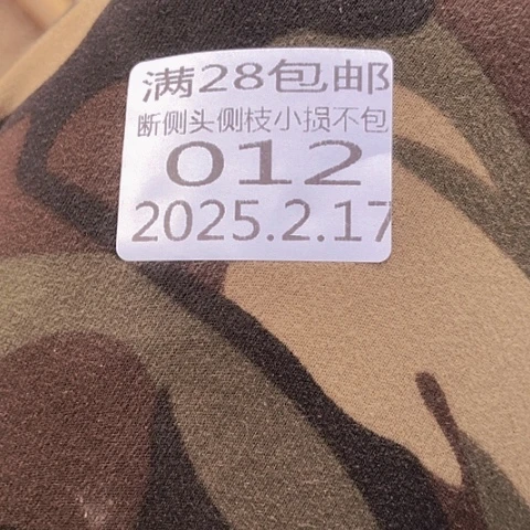 ?****?2.17-12炫彩补发多肉植物