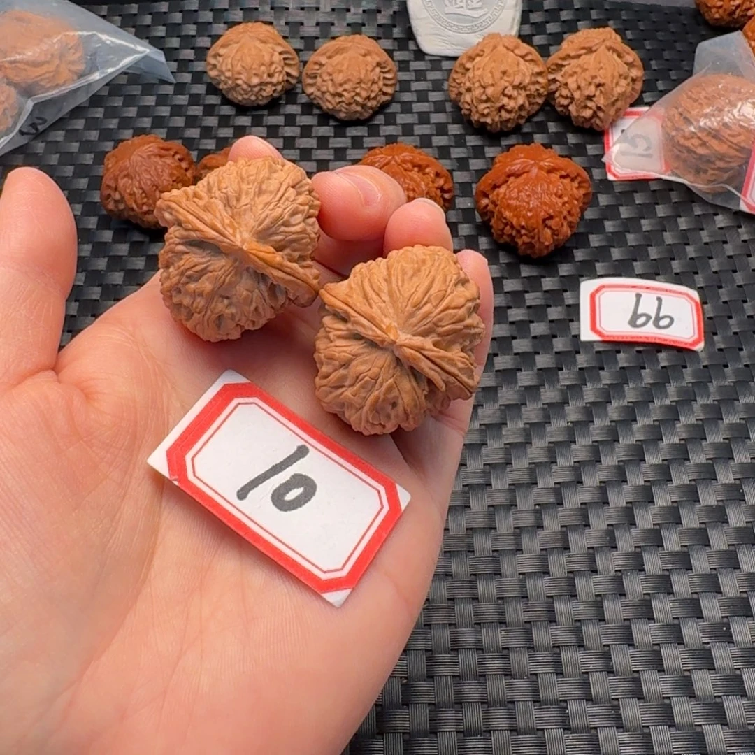 文玩核桃把件白狮子34尺