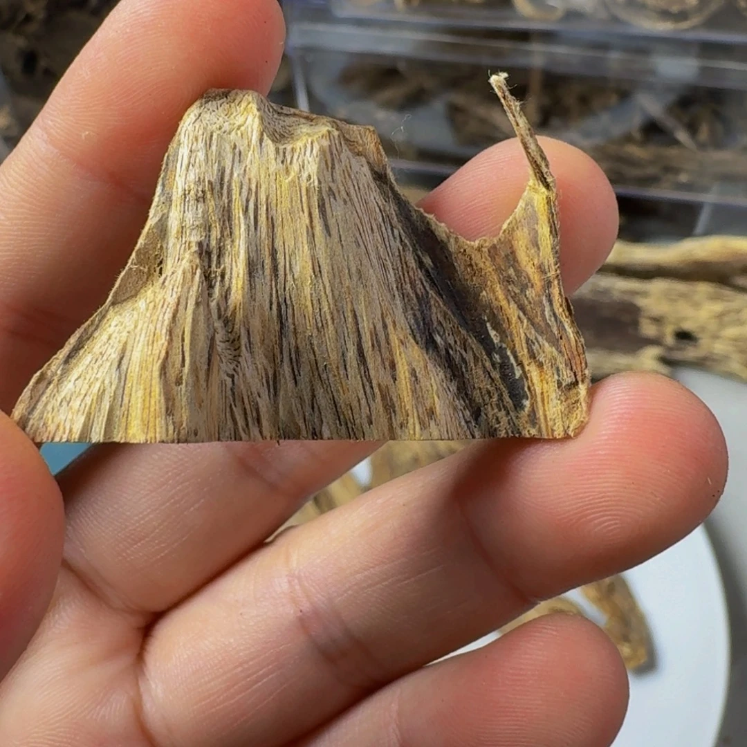 沉香沉香碎屑百年虎斑棋3克