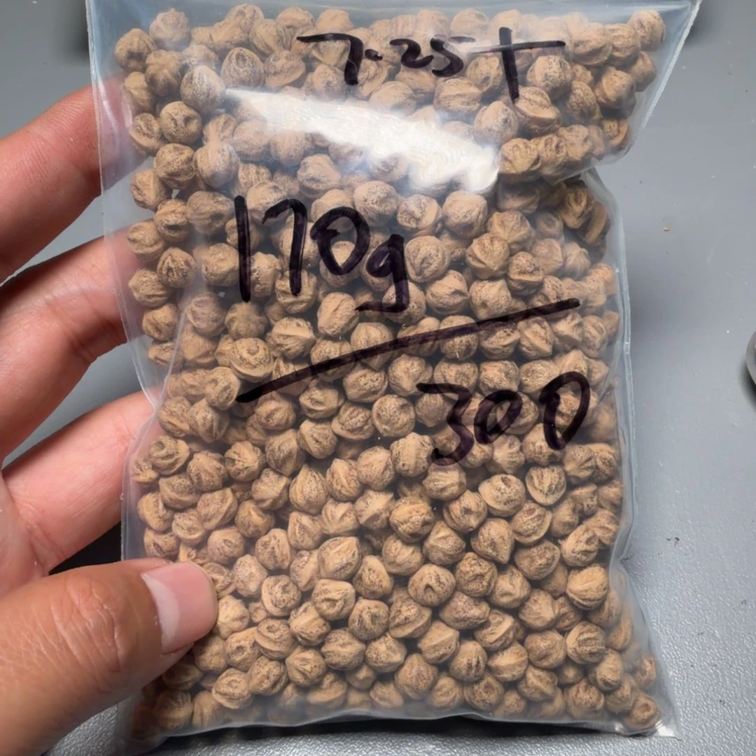 吊坠柏香籽/百香籽李**然