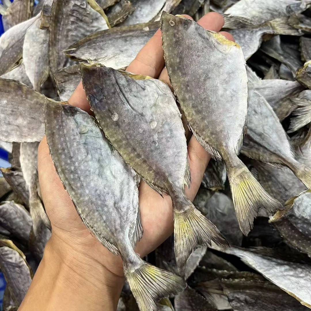 台山特产泥猛鱼干新鲜淡晒鱼干清蒸香煎爆炒
