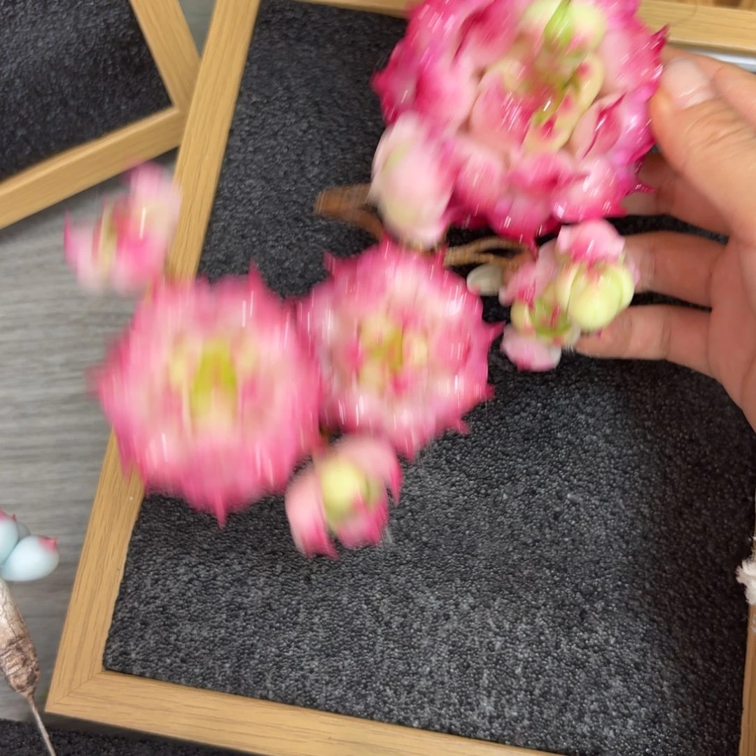 树脂制品8号噢噢噢哦哦