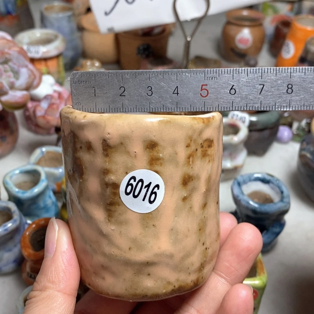 拍5送一个小礼物