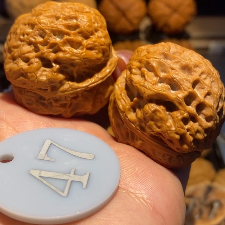 核桃蛤蟆头核桃尺寸40