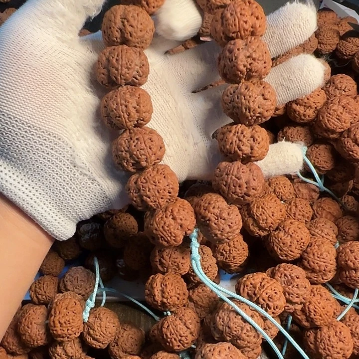 金刚菩提满肉蜂王